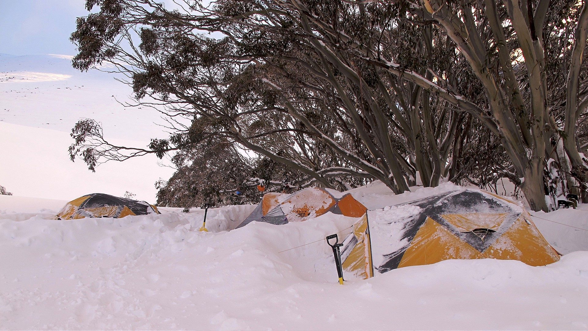 Winter Camping School 